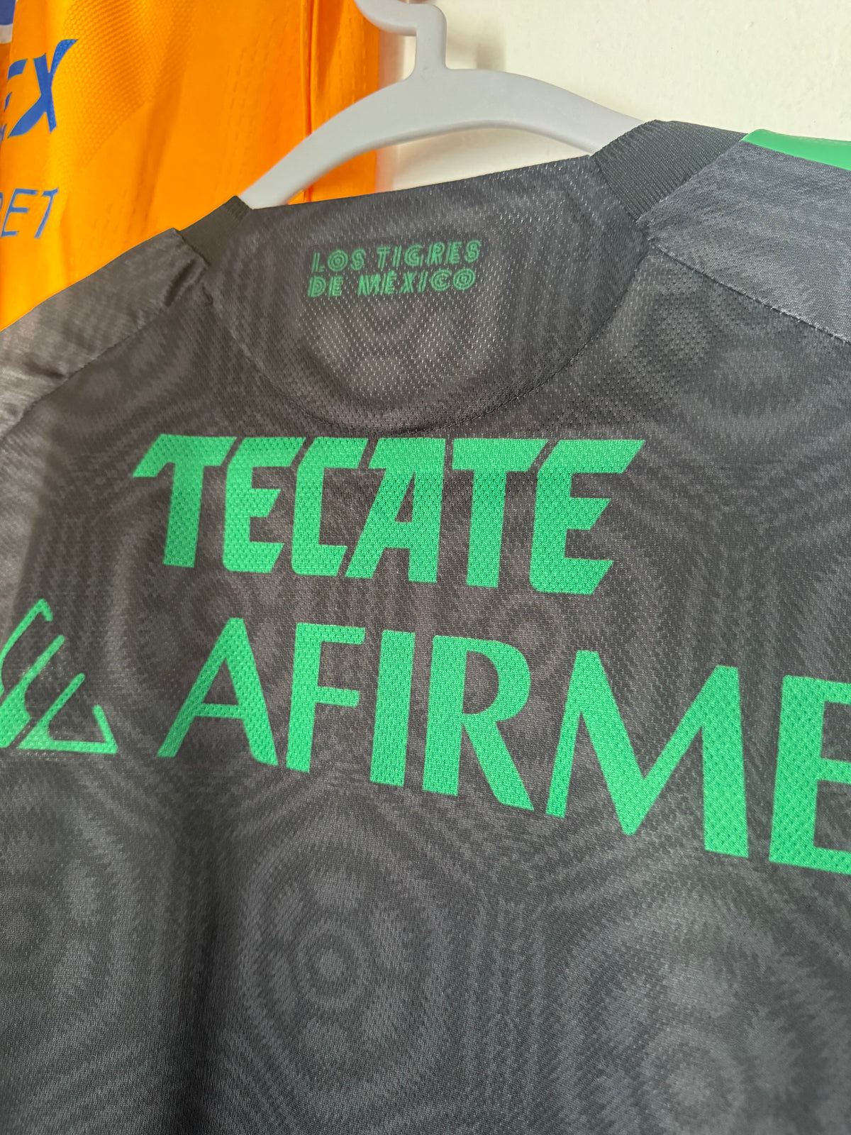 Tigres Alternativa 2025