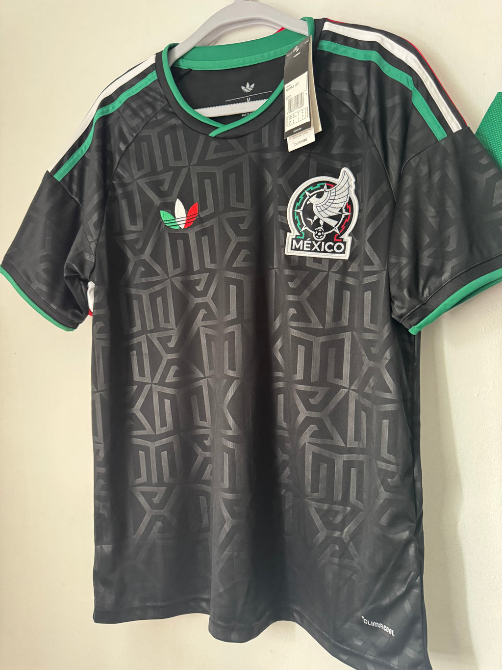 Mexico Alternativa 2026