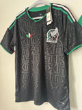Mexico Alternativa 2026