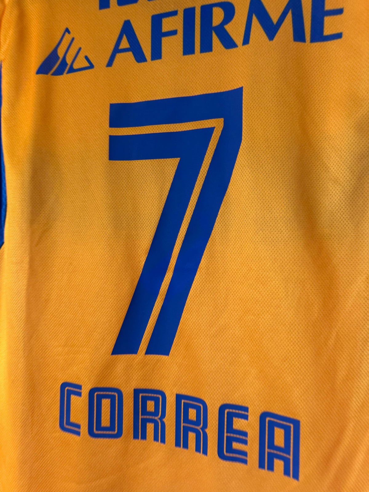 Tigres Local 2025