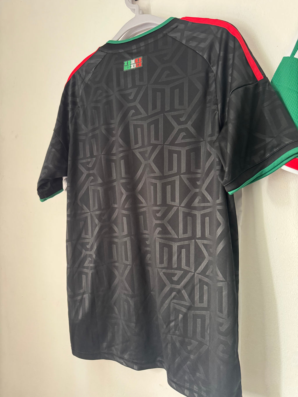 Mexico Alternativa 2026