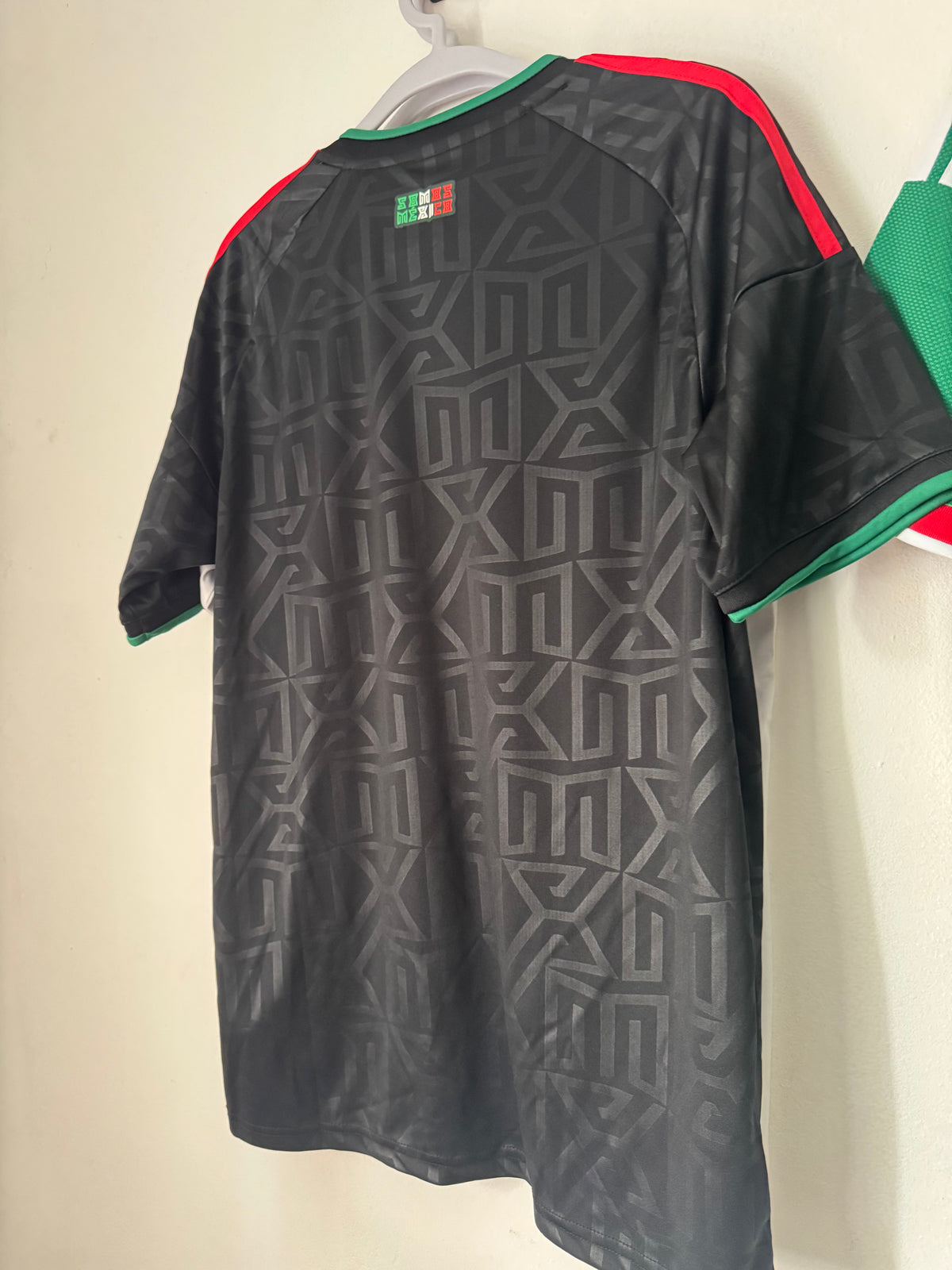Mexico Alternativa 2026