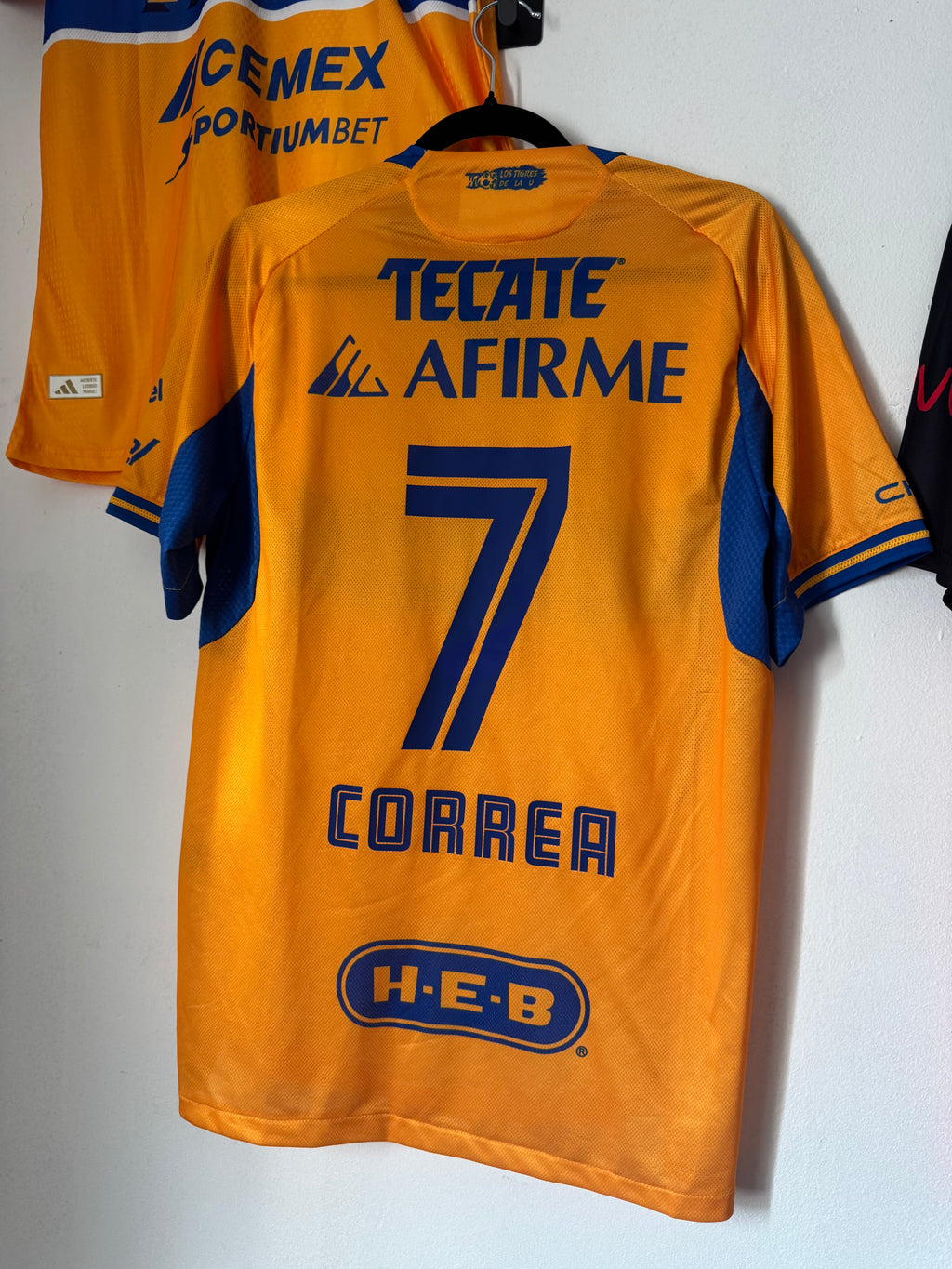 Tigres Local 2025