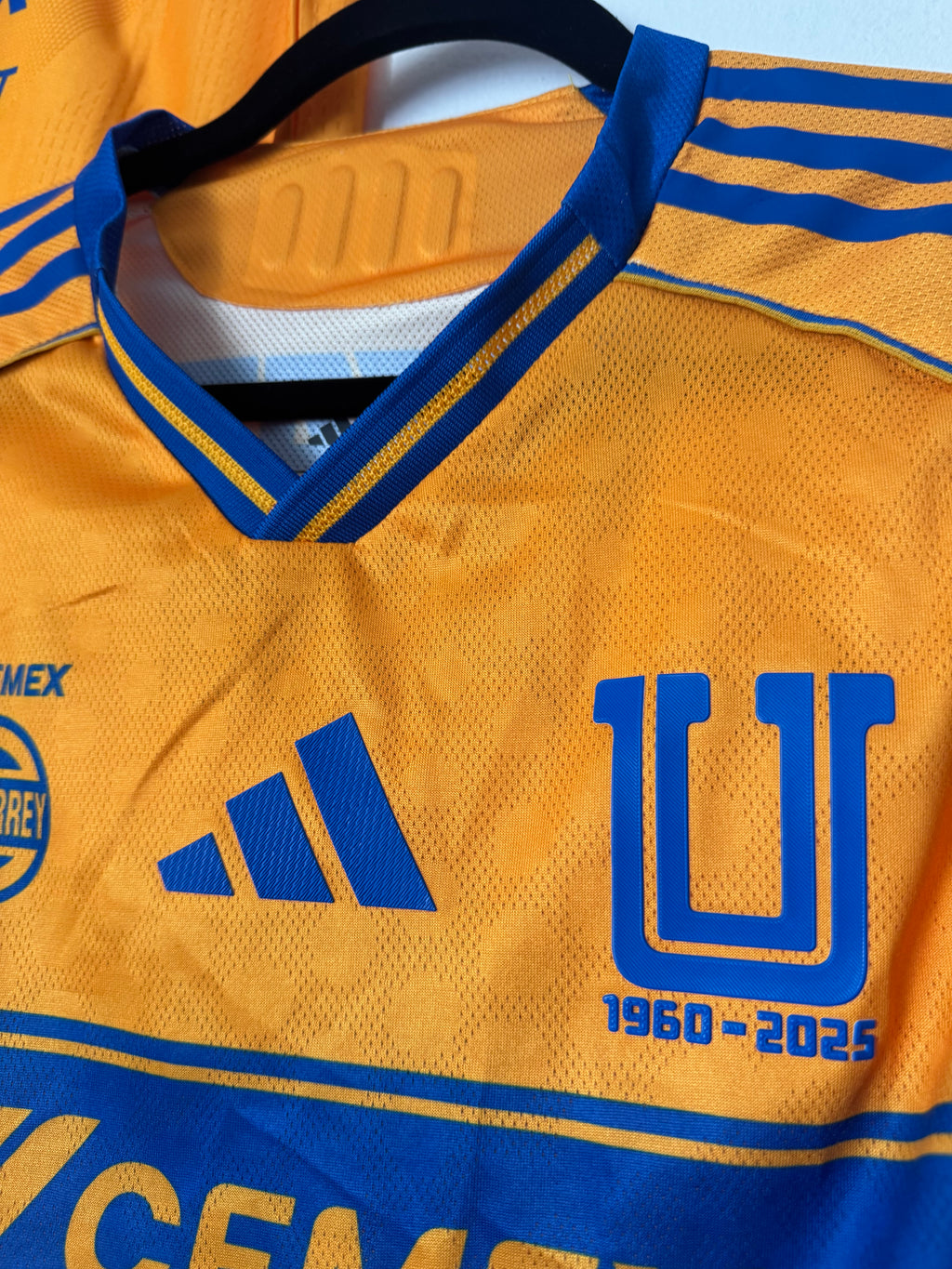 Tigres Local 2025