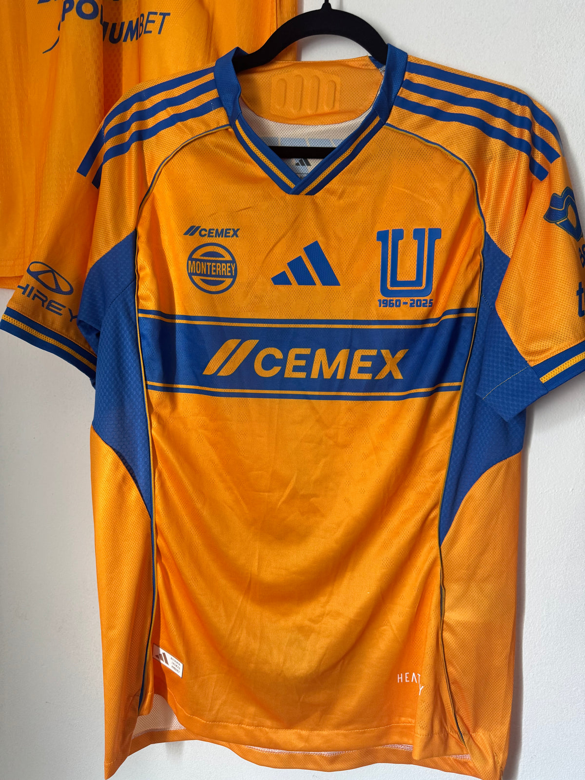 Tigres Local 2025
