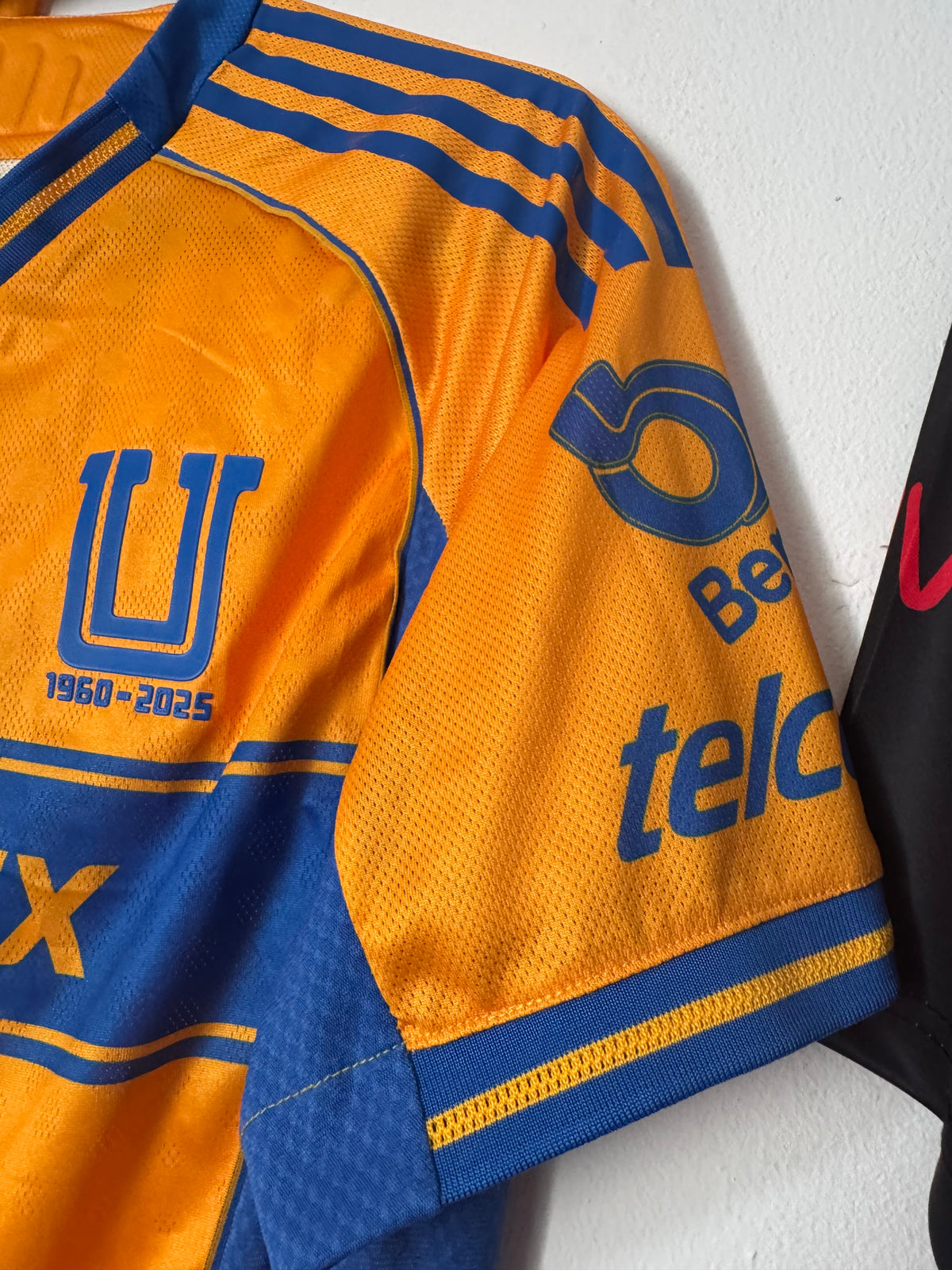 Tigres Local 2025
