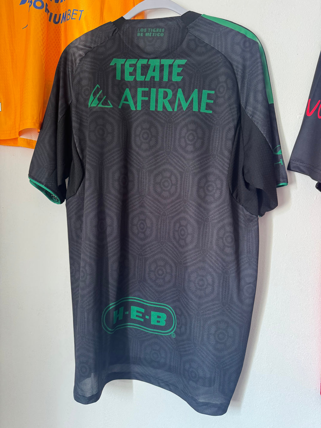 Tigres Alternativa 2025