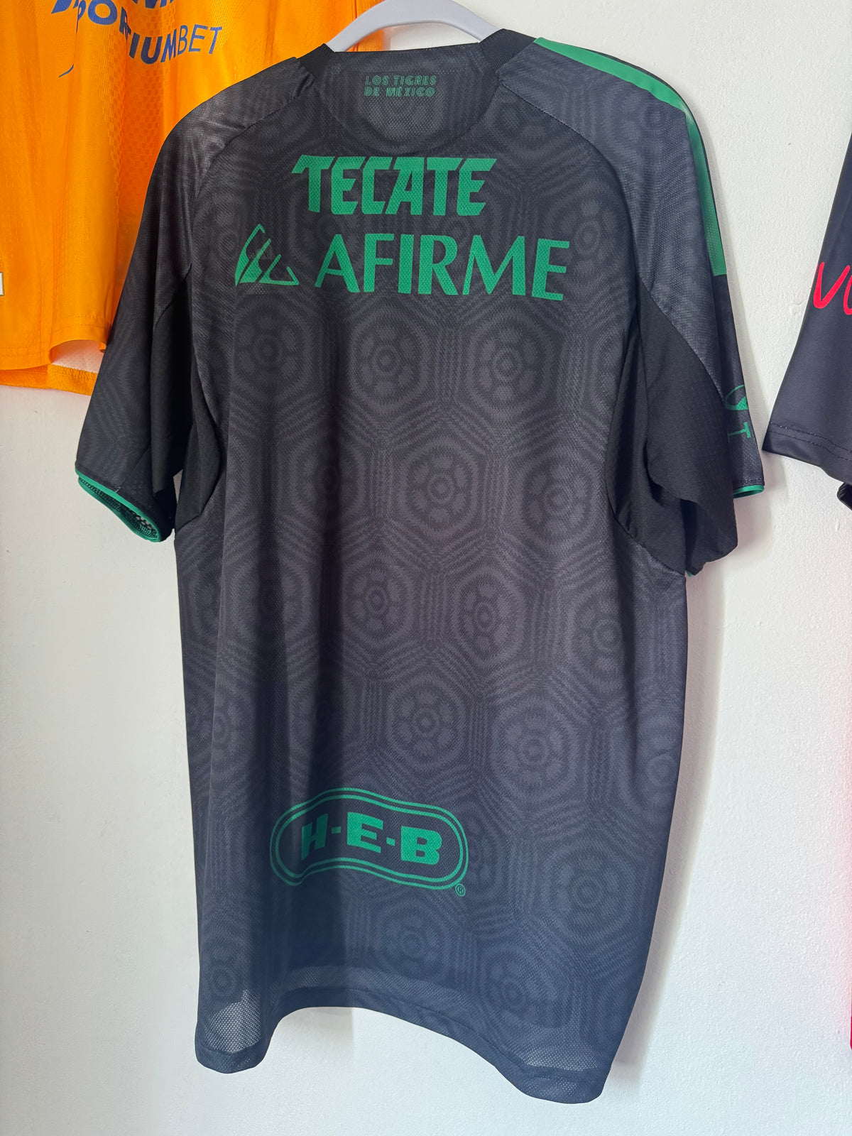 Tigres Alternativa 2025