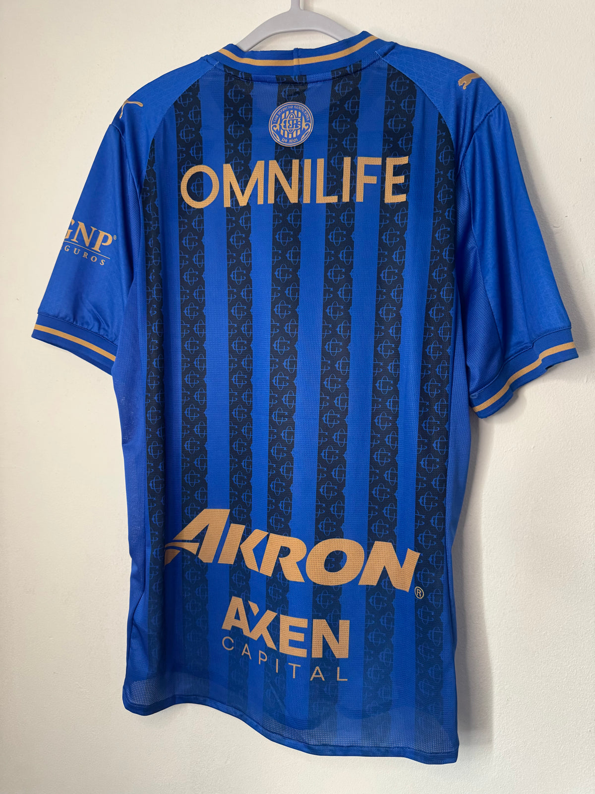 Chivas Alternativa 2025