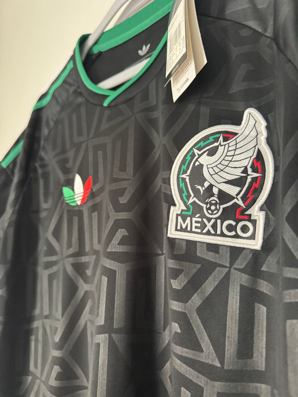 Mexico Alternativa 2026